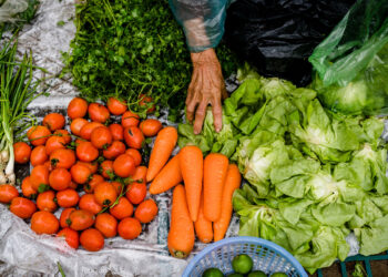 منظمة الصحة العالمية تكشفأحدث تقديرات العبء العالميللأمراض المنقولة بالغذاءبين 2000 و2021...