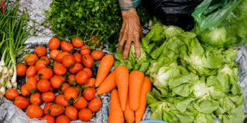 منظمة الصحة العالمية تكشف أحدث تقديرات العبء العالمي للأمراض المنقولة بالغذاء بين 2000 و2021…