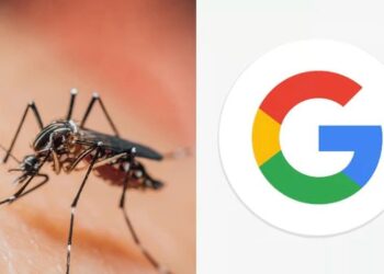 غوغل تخطط لإطلاق 32 مليون بعوضة "مُستزرعة"في كاليفورنيا وفلوريدا.. ما السبب؟