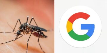 غوغل تخطط لإطلاق 32 مليون بعوضة “مُستزرعة” في كاليفورنيا وفلوريدا.. ما السبب؟