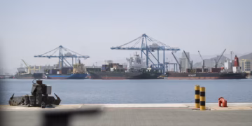 الزيودي: الإمارات على طريق الاستغناء عن هرمز