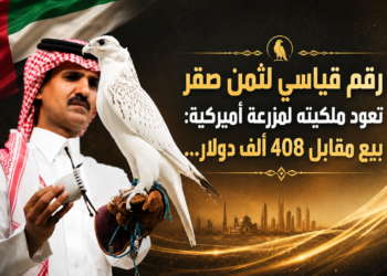 رقم قياسي لثمن صقرتعود ملكيته لمزرعة أميركية:بيع مقابل 408 ألف دولار...