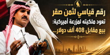 رقم قياسي لثمن صقر تعود ملكيته لمزرعة أميركية: بيع مقابل 408 ألف دولار…