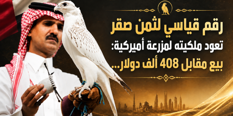 رقم قياسي لثمن صقرتعود ملكيته لمزرعة أميركية:بيع مقابل 408 ألف دولار...