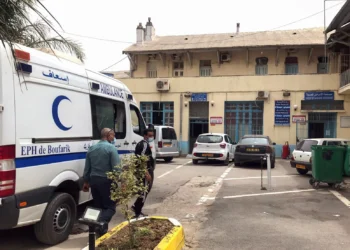 فضيحة.. «أطباء مزيفون»يعالجون مرضاهم بحشرات في الجزائر!
