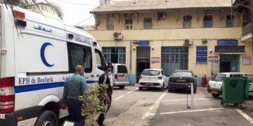 فضيحة.. «أطباء مزيفون» يعالجون مرضاهم بحشرات في الجزائر!