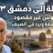 رحلة إلى دمشق ١٣عبوس غير مقصود.. وعاصفة وبرد في الصيف...