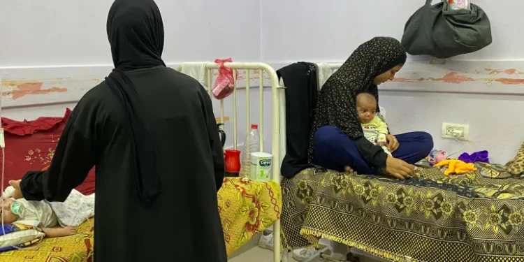 تقرير حول تصاعد النزاعفي اليمن
